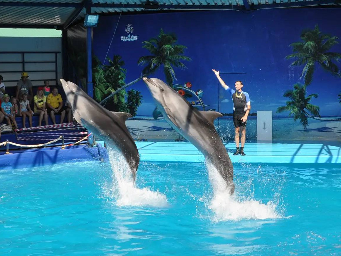 Дельфинарий «Морской Мир» Кабардинка